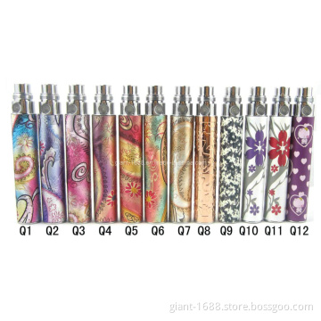 2013 Fashional EGO-Q Battery
